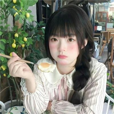 完美伴侣